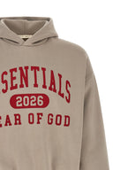 Hoodie Gris