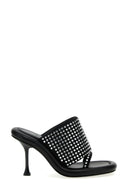 Talons Noir