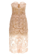 Robe Rose