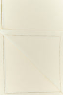 Duck — Labarri White